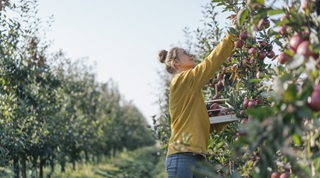 Risparmio energetico in agricoltura